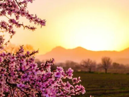 I Am Enough - Energizing Breathwork For Self-Love