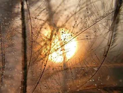 I Am Enough - Whispered Mantra Track