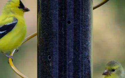 I Am Exactly Where I Am Meant To Be EFT Tapping Meditation