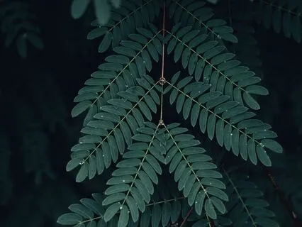 I Am Experiencing This - Higher Intensity Version