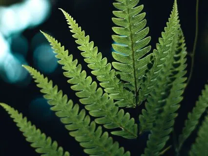 I Am Experiencing This - Lower Intensity