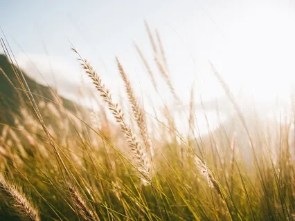 I AM-Affirmations For Wealth, Abundance & The Opulence Of God