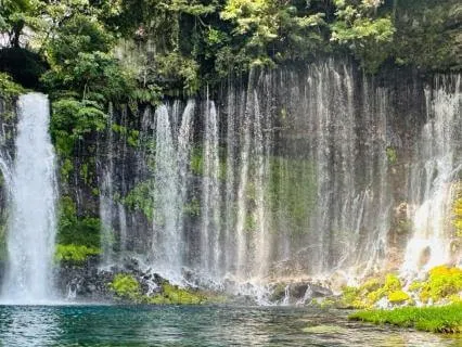 I Am Flowing Easily And Joyfully Through Life Meditation