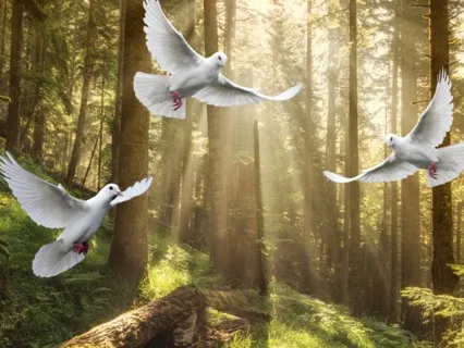 I Am Forgiveness Guided Meditation