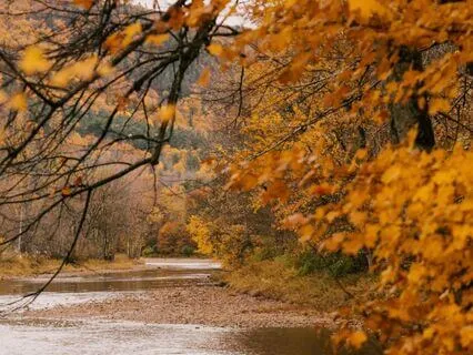 I Am Free | 21 Affirmations For Self-Love, Release & Flow