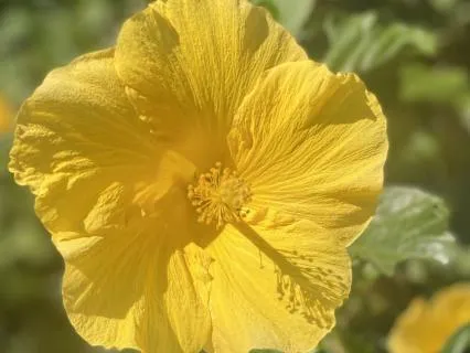 I Am Free To Access Play