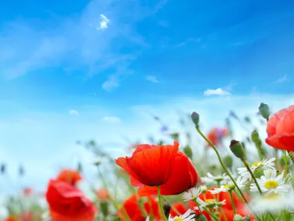 I Am Grateful For My Life - Day 4