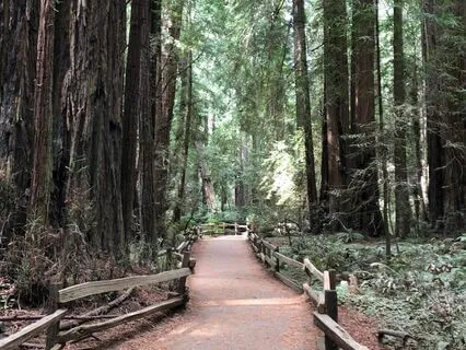 "I AM Grounded" - Grounding Meditation for Stress at Work