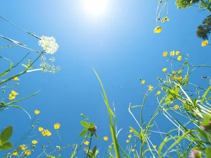 I Am Grounded | 6 Minute Sound Bath For Inner Balance