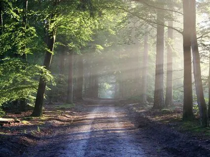 I Am Healing: 50 Affirmations For Renewal & Inner Light