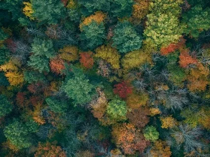 I Am Here. I Am Safe. All Is Well.