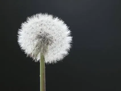 I Am Here Now, And This Moment Is Safe - Mantra