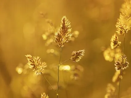 I Am Here - Relaxing 10 Minutes