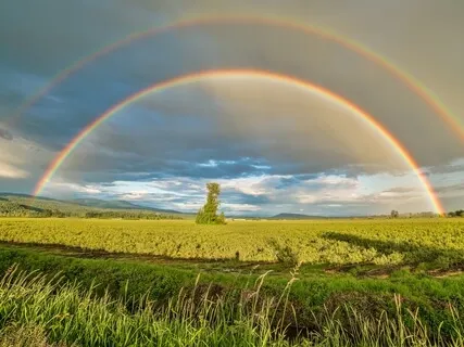 I Am, Higher Self, Holy Grail Meditation