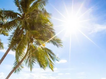 How He Manifested Barbados (True Story)