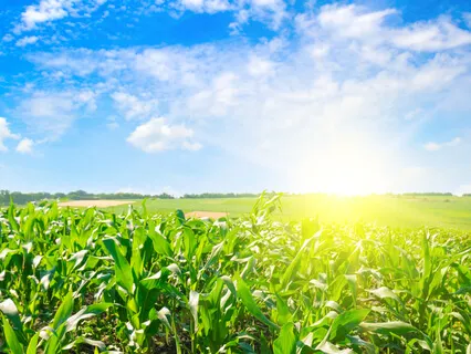 I Am Increasingly Magnetic To Health, Wealth, Abundance, Prosperity & The One Affirmation (Subliminal)