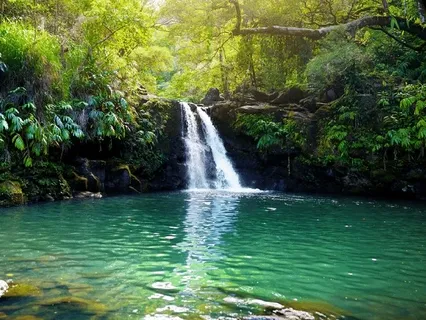 I AM Infinite Potential Yoga Nidra 