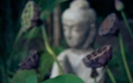 I Am Intuitive - Third Eye Chakra Energy Clearing Meditation