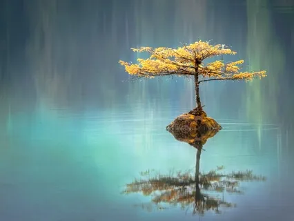 I Am Joy: Affirmation & Energiser Practice