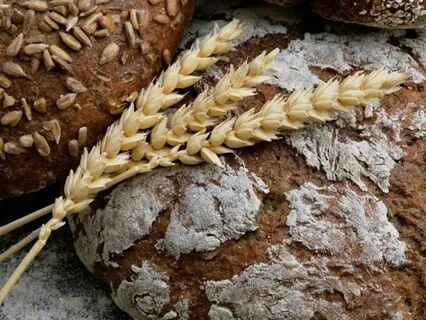 "I Am" - Lent Day 2: Believing As The Work Of God