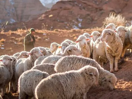 I Am - Lent Day 22: Hearing The Voice Of The Shepherd