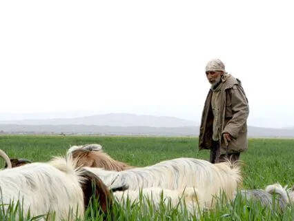 I Am - Lent Day 24: Walking Through The Valley