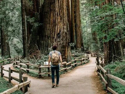 I Am - Lent Day 36: You Already Know The Way