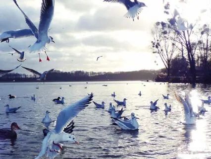 I Am - Lent Day 38: A Life Fully Alive