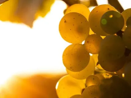 I Am - Lent Day 45: A Home In Love