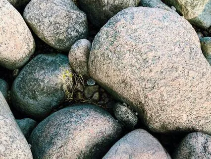 "I Am" - Lent Day 9: Compassion In The Light