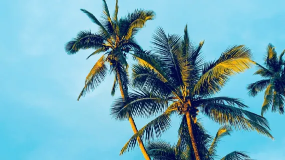 I Am Light, Bright & Powerful - 20 Minute Daily Insight