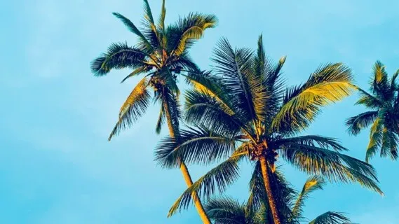 I Am Light, Bright & Powerful  - 5 Minute Daily Insight