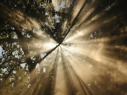 I am Light; Crown Chakra Meditation