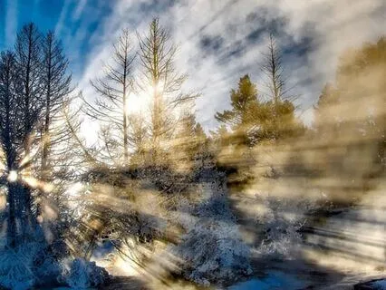 I Am Light : Daily Spiritual Affirmations