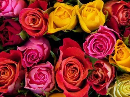 I Am Love: Affirmations For Receiving