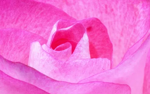 I Am Love ( Affirmations / Mantras)