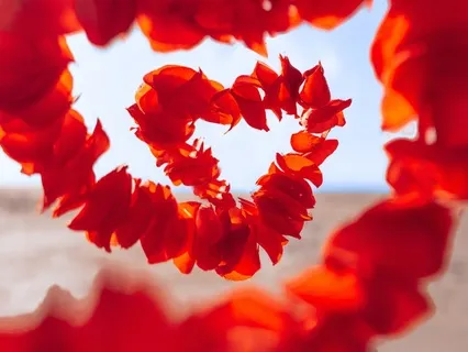 I Am Love, I Am Loved