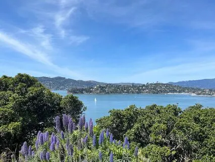 I Am Made Of Heaven: Chant