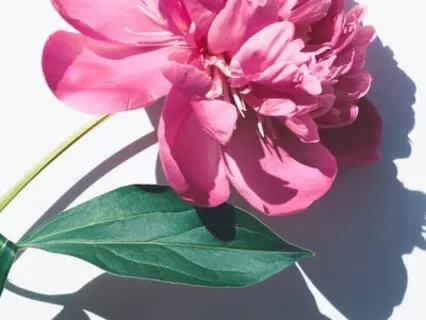 "I AM" Manifestation Mediation: Law Of Attraction