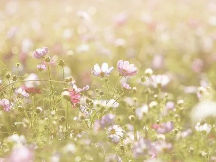 I Am Me Affirmation Meditation