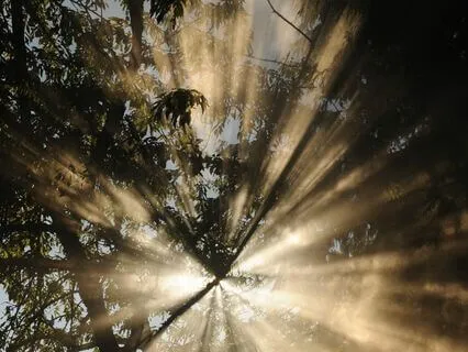 I Am Meditation | Connect to The Divinity Within