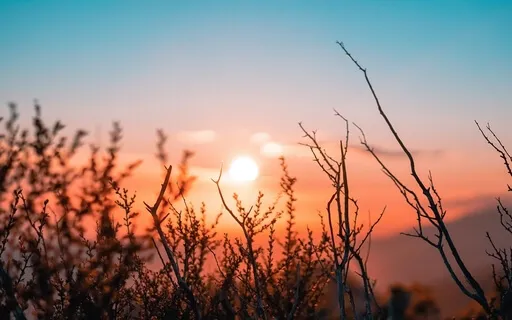 "I Am" Meditation & Body Scan 