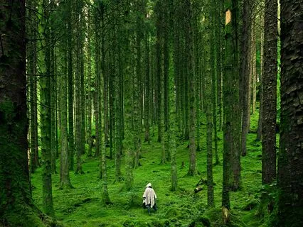 "I Am" Meditation For Grounding And Self-Connection