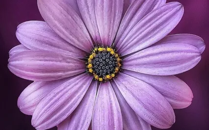 I Am Moving From Reveal Your Purpose Meditations 