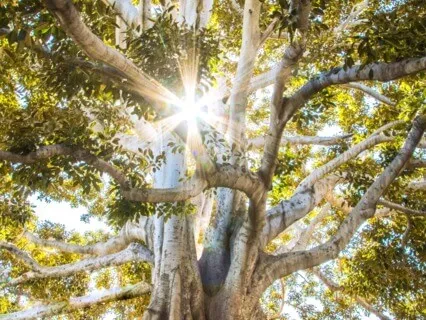 I Am On Solid Ground Affirmations