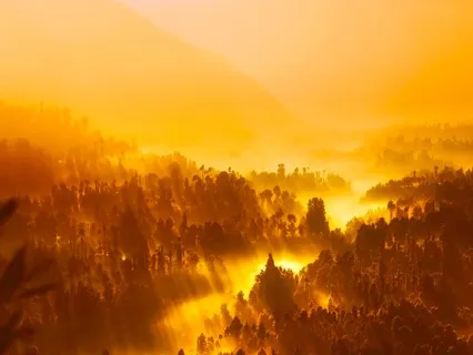 I Am Peace Meditation