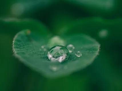 I Am Perfect Either Way