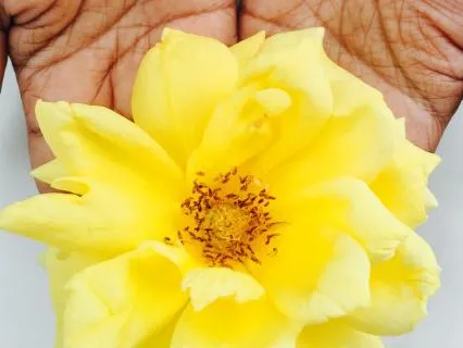 I Am Powerful: A Solar Plexus Chakra Meditation