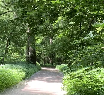 "I Am" Presence Affirmations - A To Z