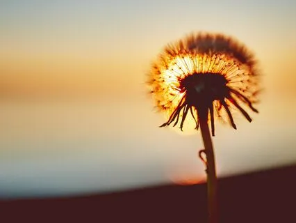 I Am Qualified And Confident Meditation